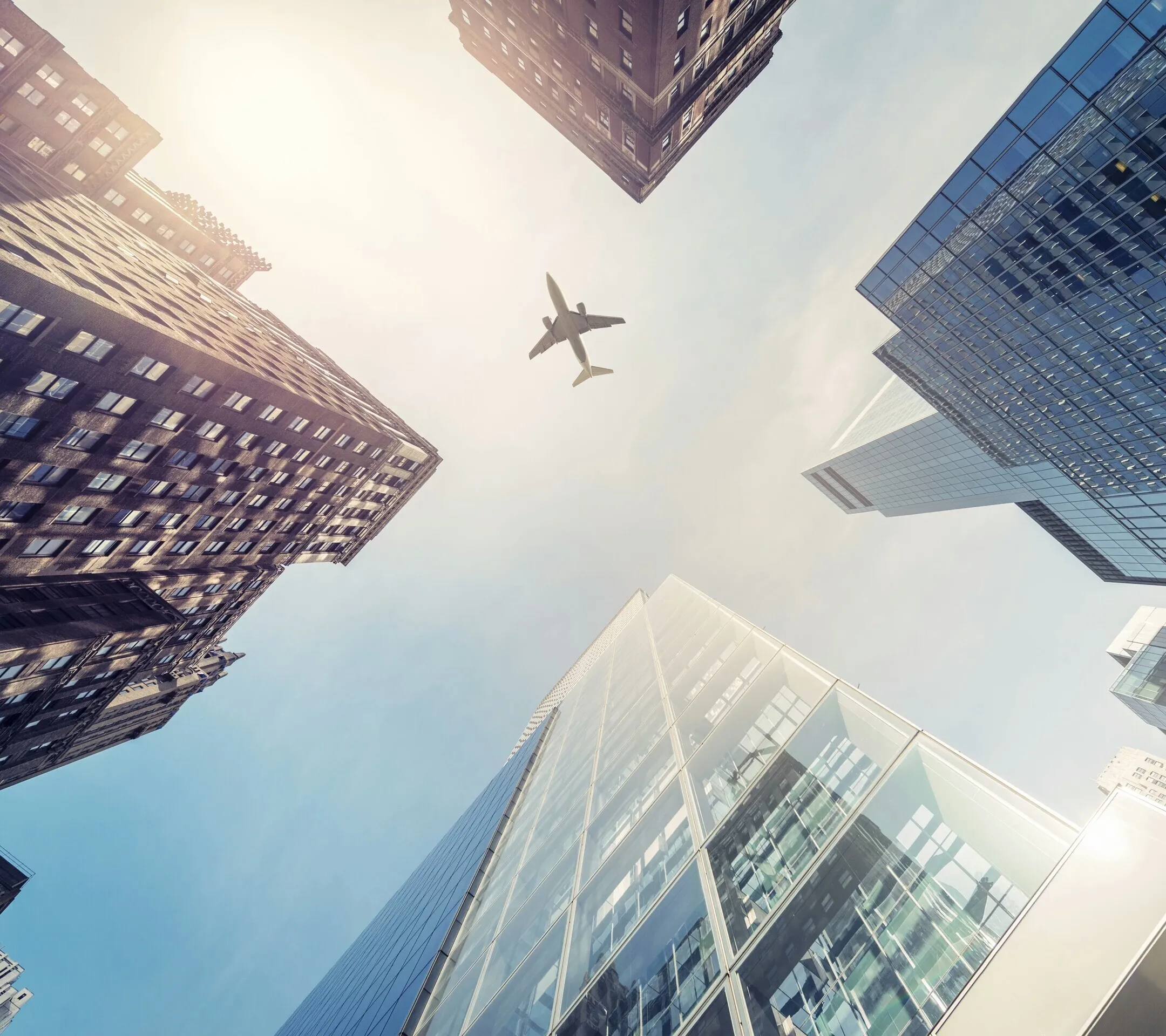 international_fly_&_cfa66127-b543-42b0-b3a0-8243a6fdadda.webp