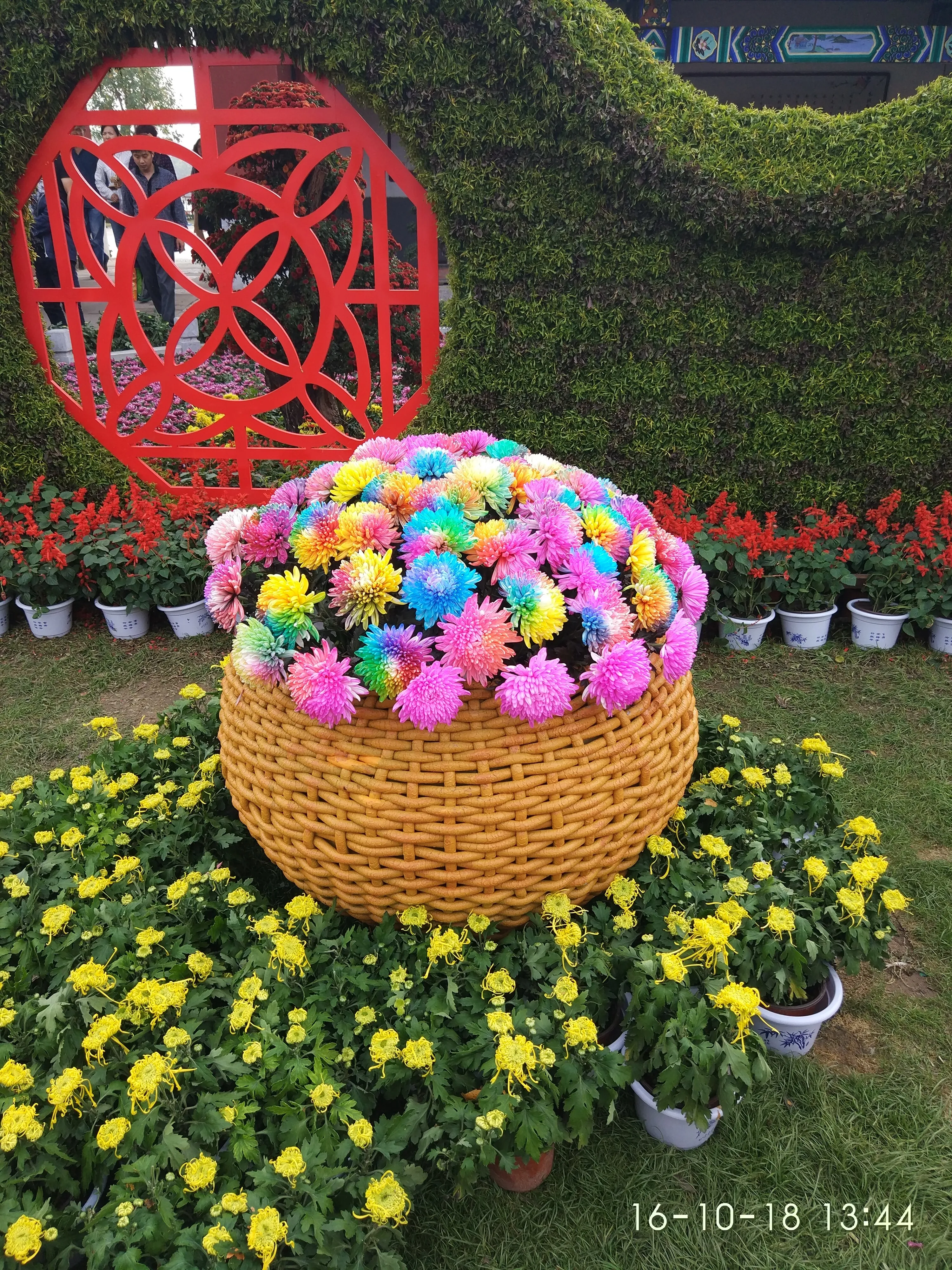 IMG_20161018_134440.webp