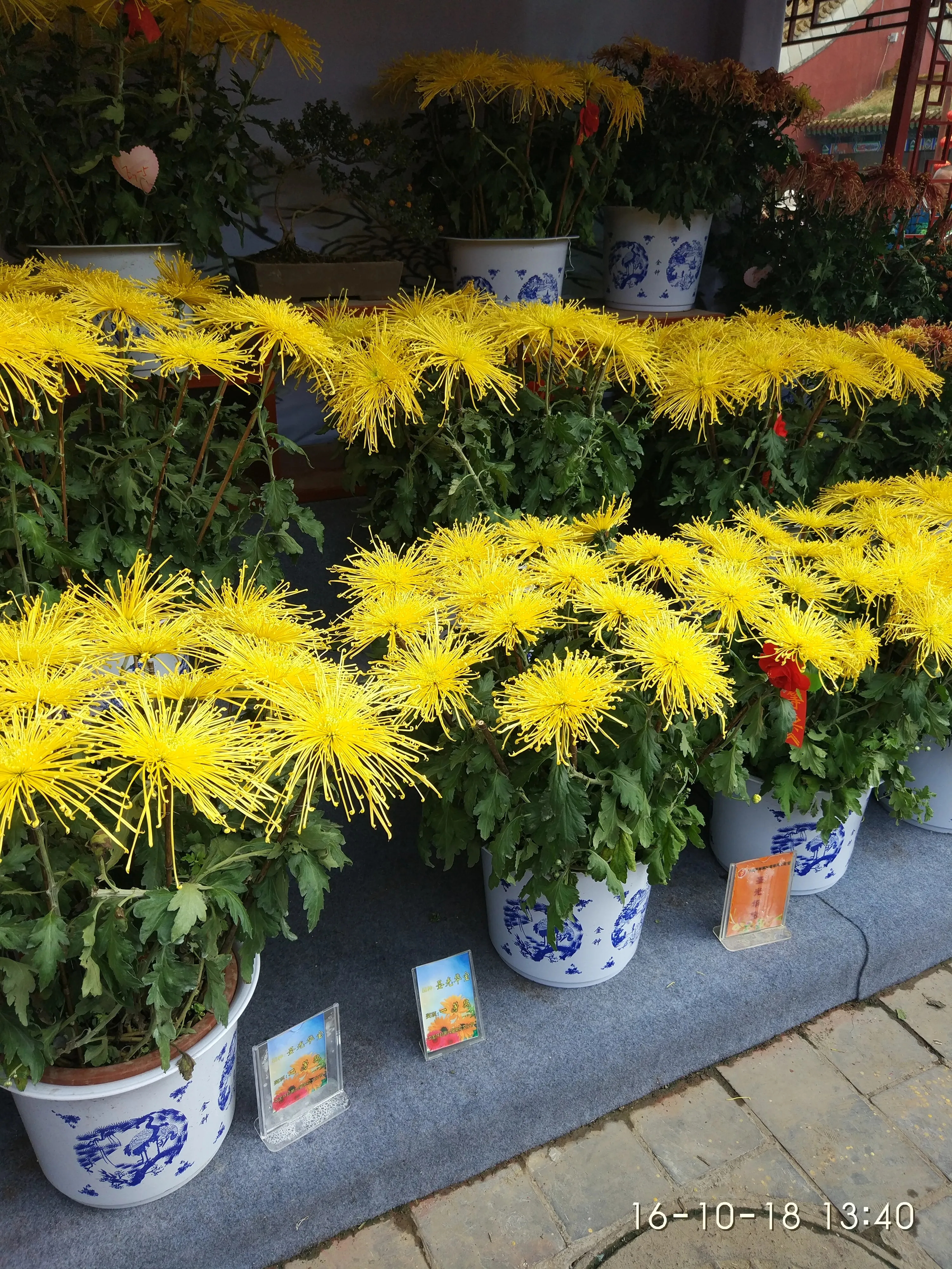 IMG_20161018_134008.webp