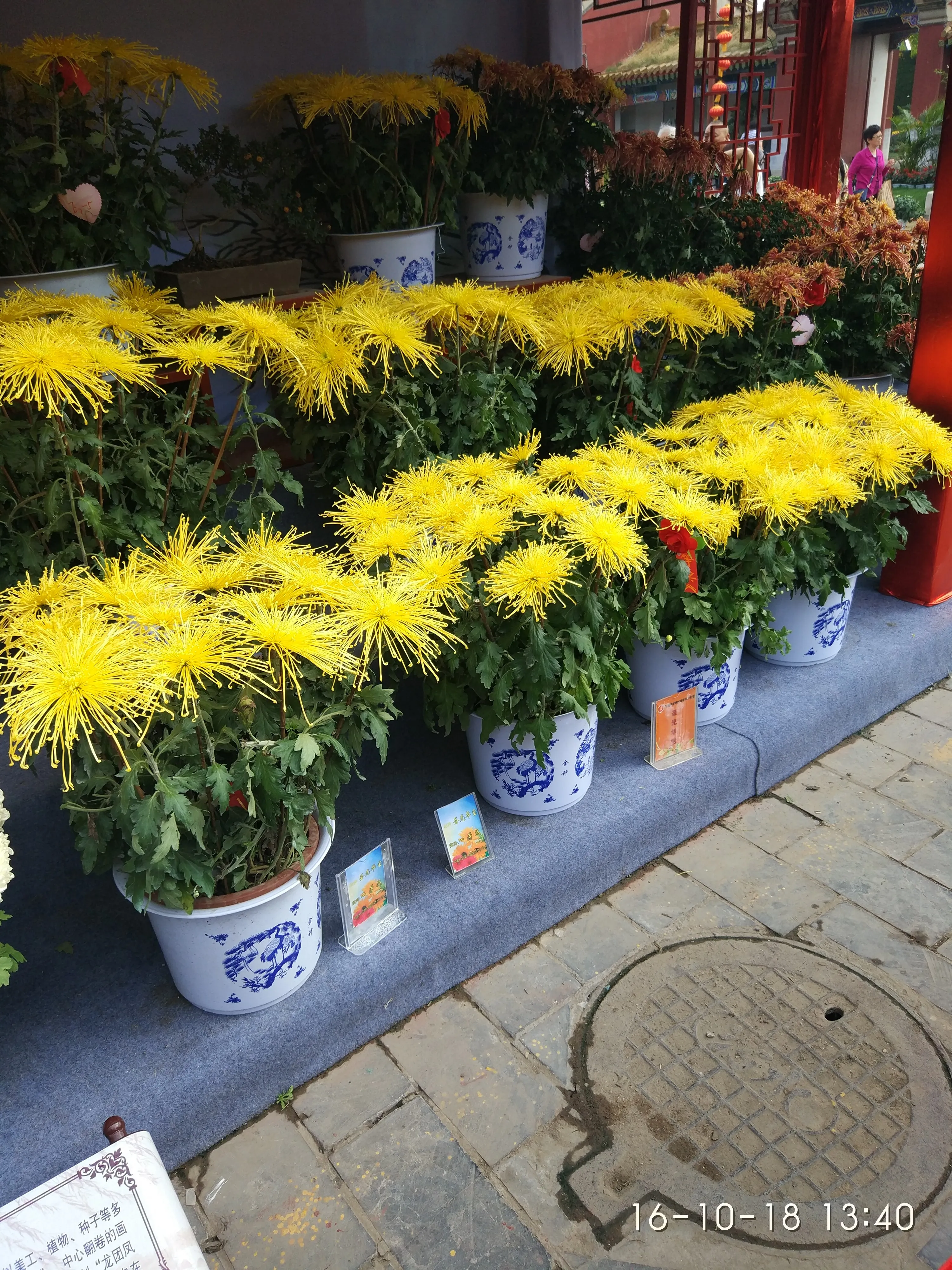 IMG_20161018_134002.webp