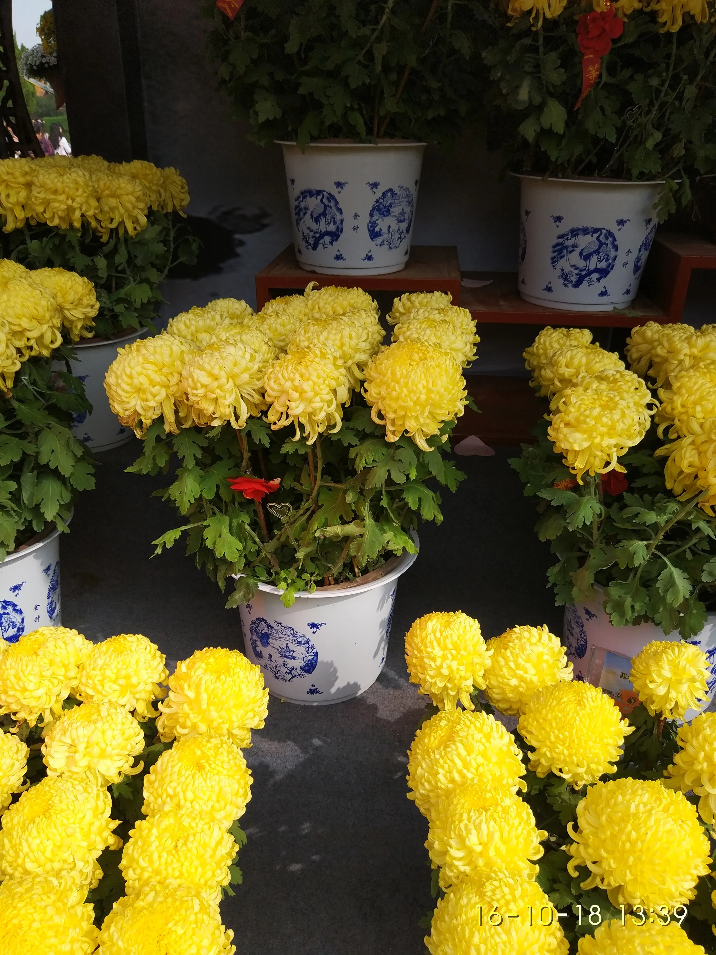 IMG_20161018_133932.webp