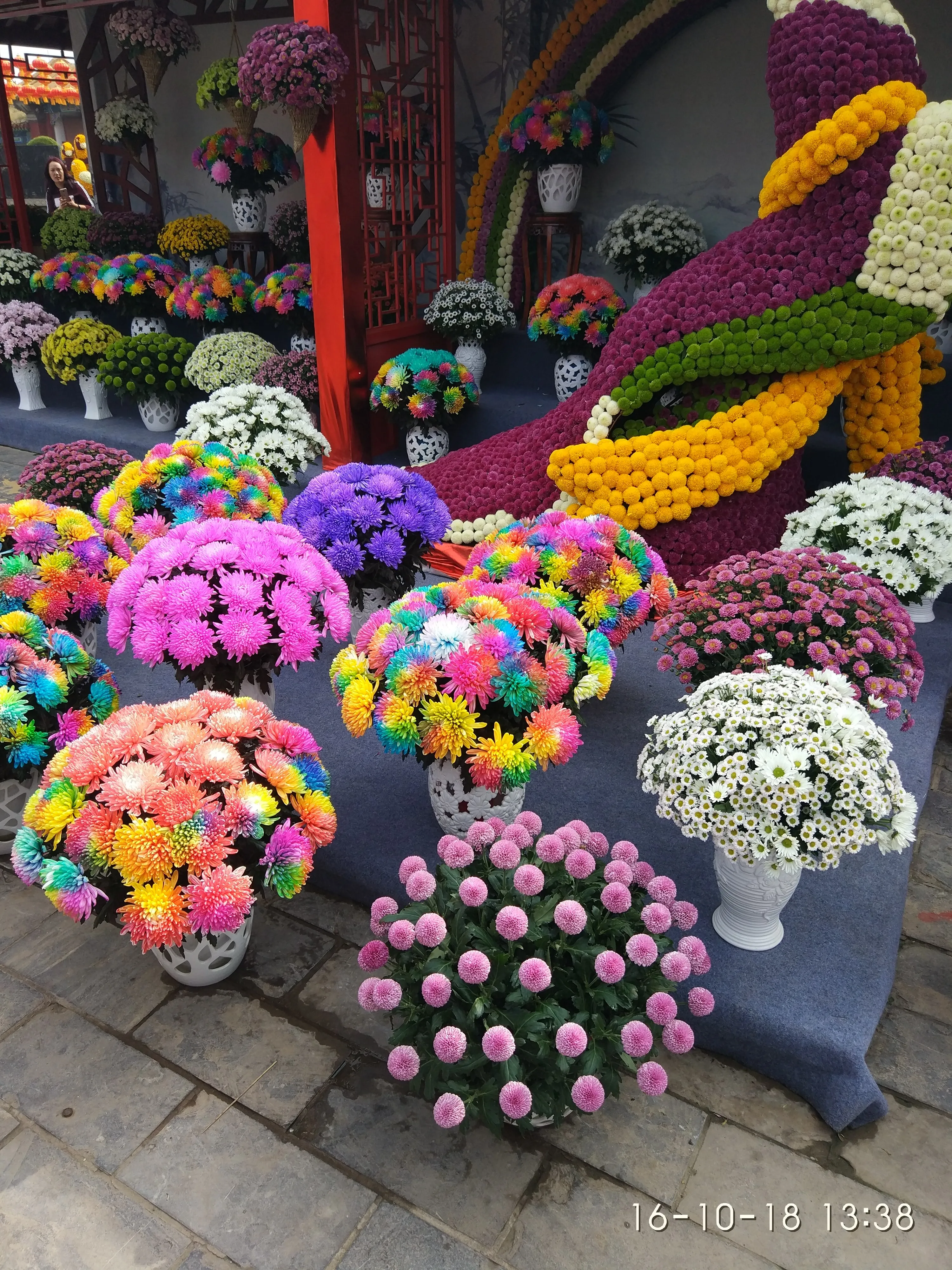 IMG_20161018_133803.webp