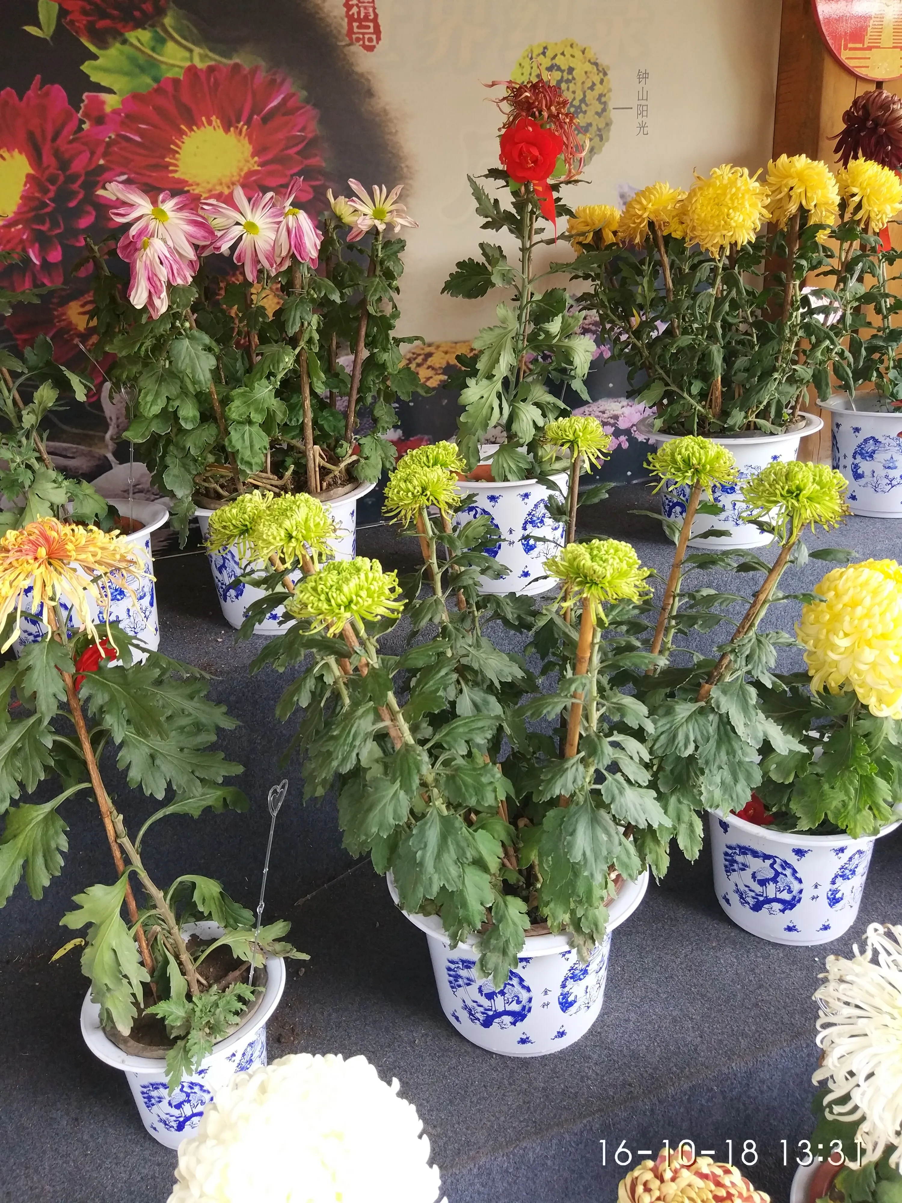 IMG_20161018_133108.webp