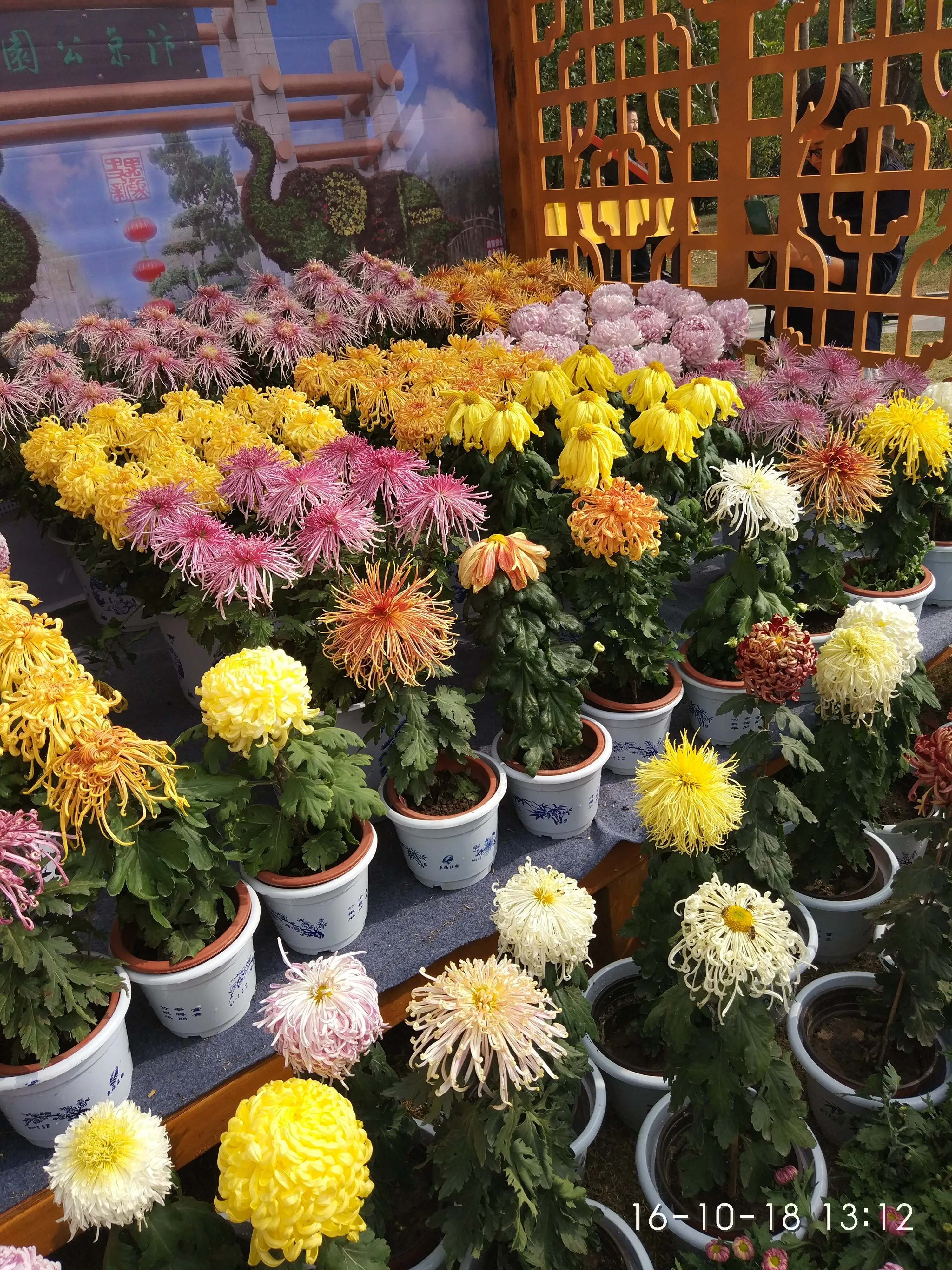 IMG_20161018_131235.webp