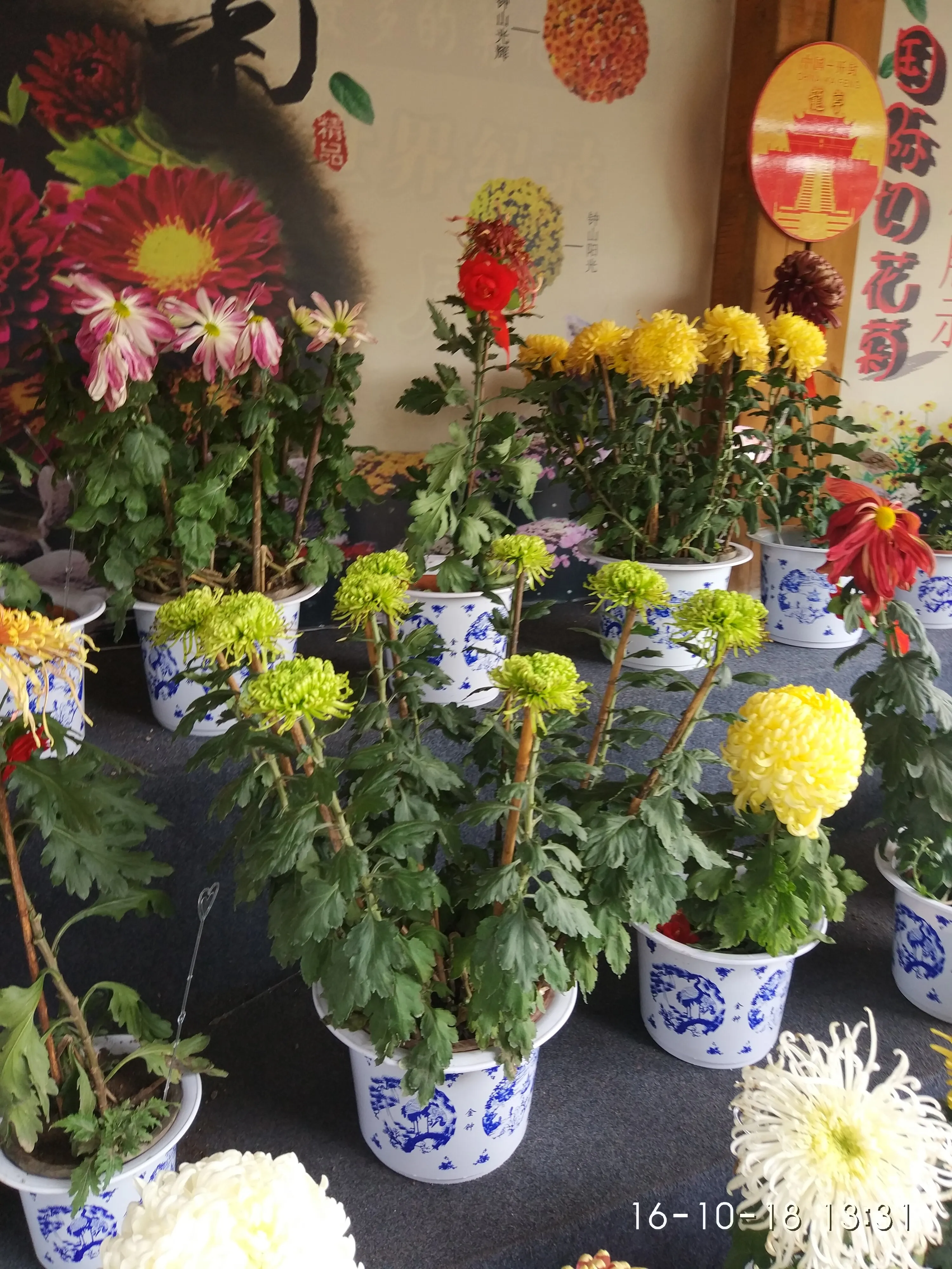 IMG_20161018_133105.webp