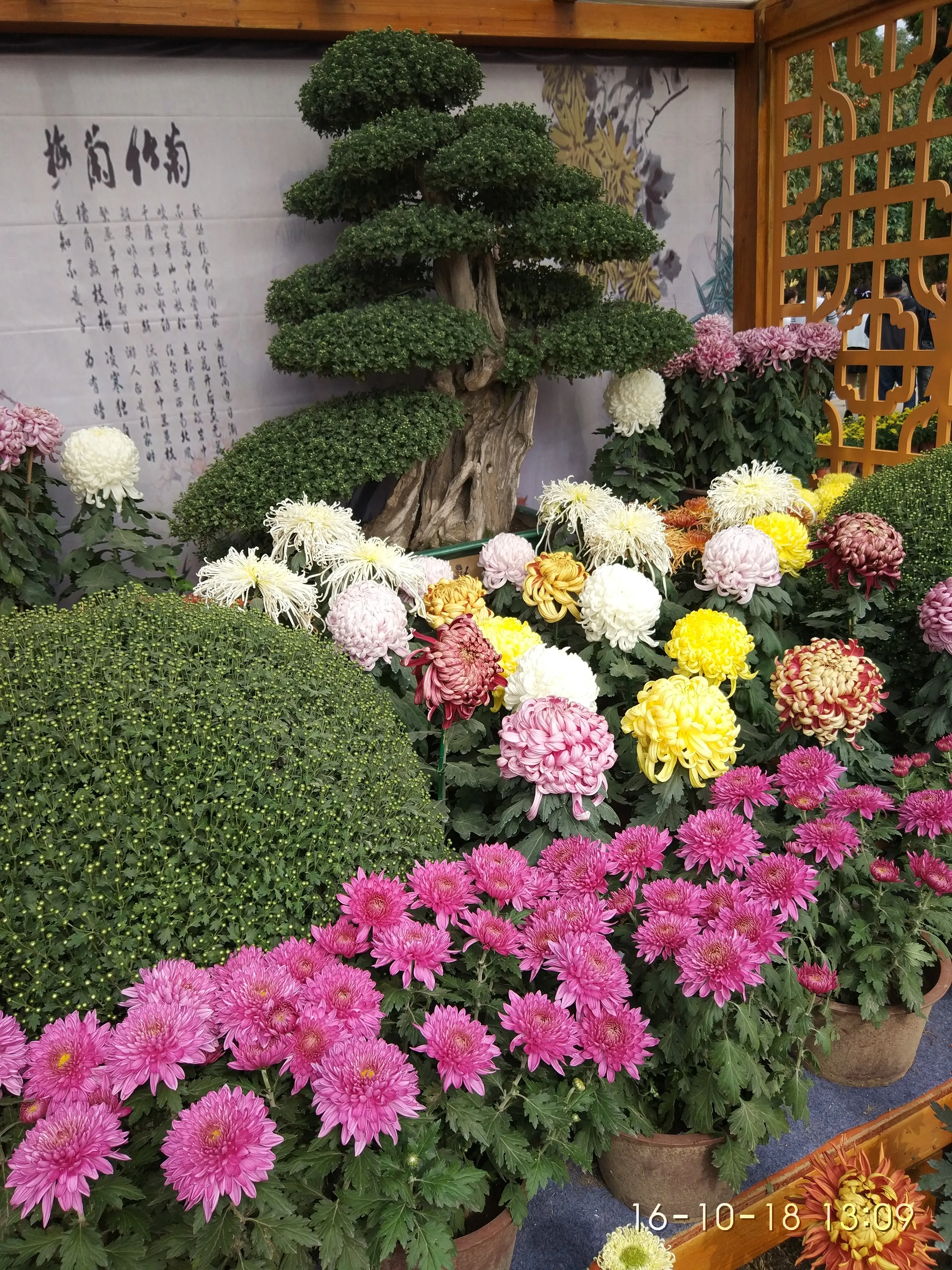 IMG_20161018_130945.webp