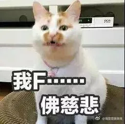 0e16b40032212e84880f1d09b92829ff.webp