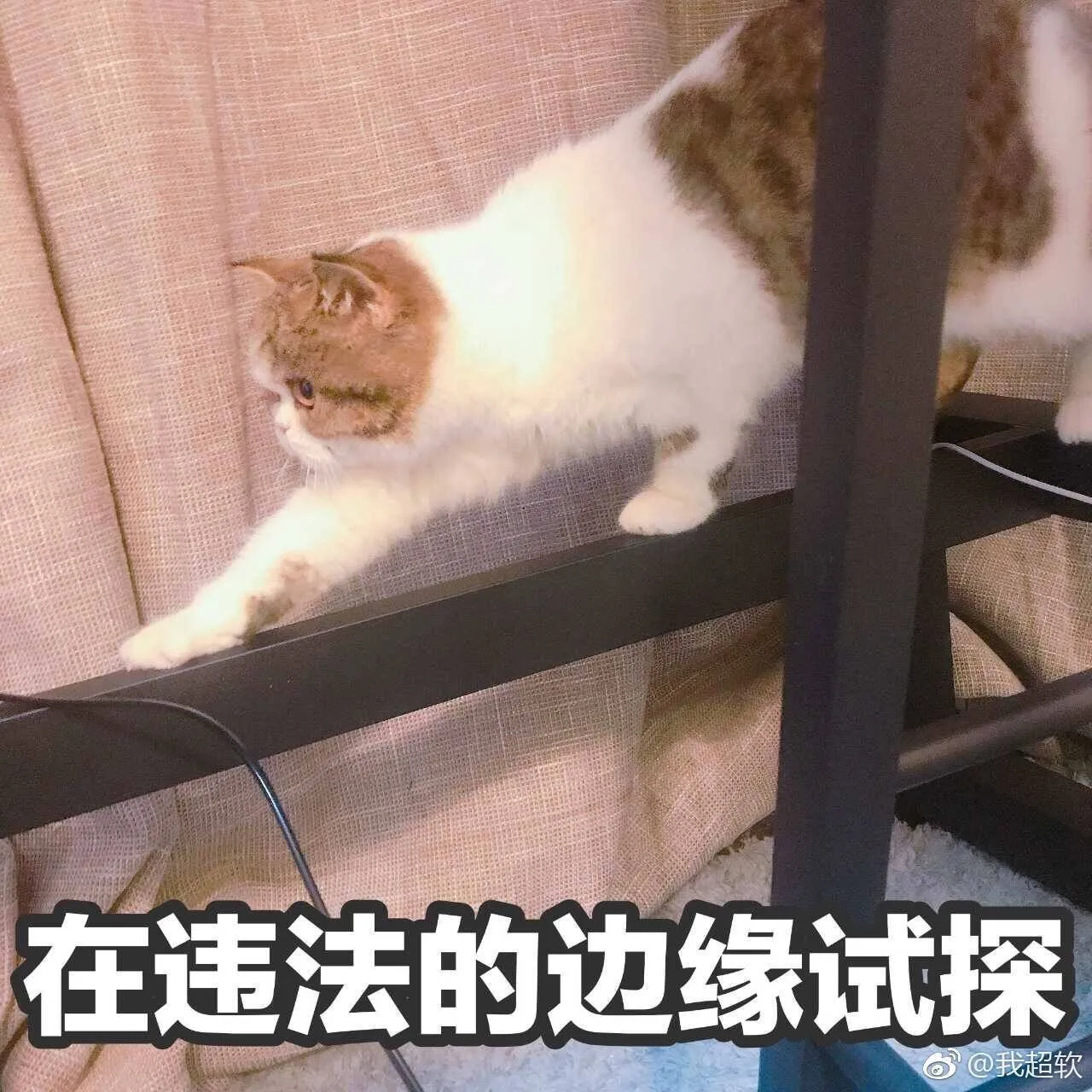 1c7484890f3e01da4bf1f9644e2ca46e.webp