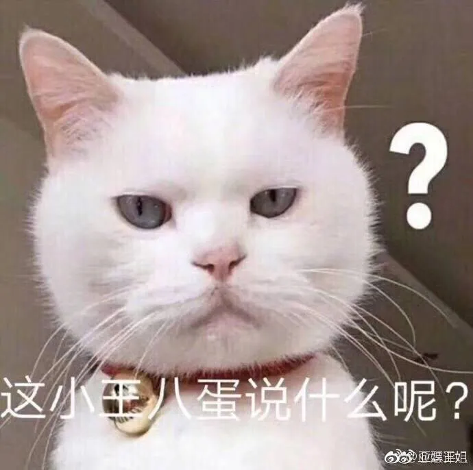4f45c66b9344152cebc09056e94a2466.webp