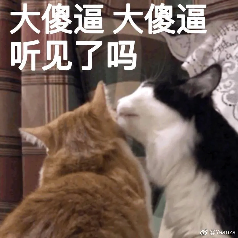 28e5c15617eb90eb5b638101d1de805b.webp