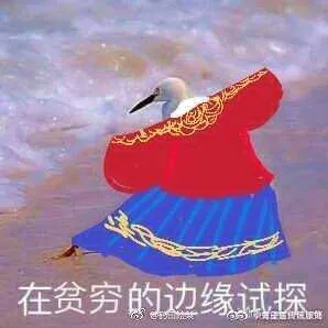 45cf2ecd49d4a162021700afa6925227.webp