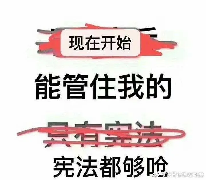 49ad2eb1d9ea9607b903d3e63bb53c1d.webp