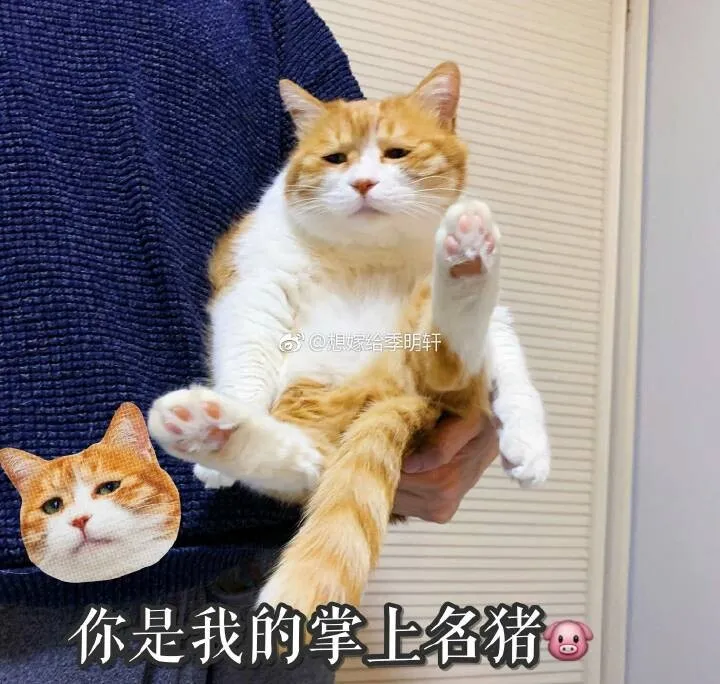 271ecdc32634728f8af992c655b1f28c.webp