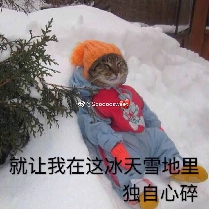 862e3ca88be1cd9cf5ef76743a2c8dd2.webp