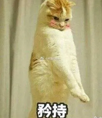 1515ccccd3fe3e095fa74b625cbc349b.webp