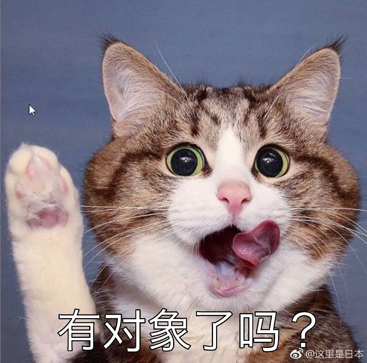 5924cce3c8e10b49cb84437e73026313.webp