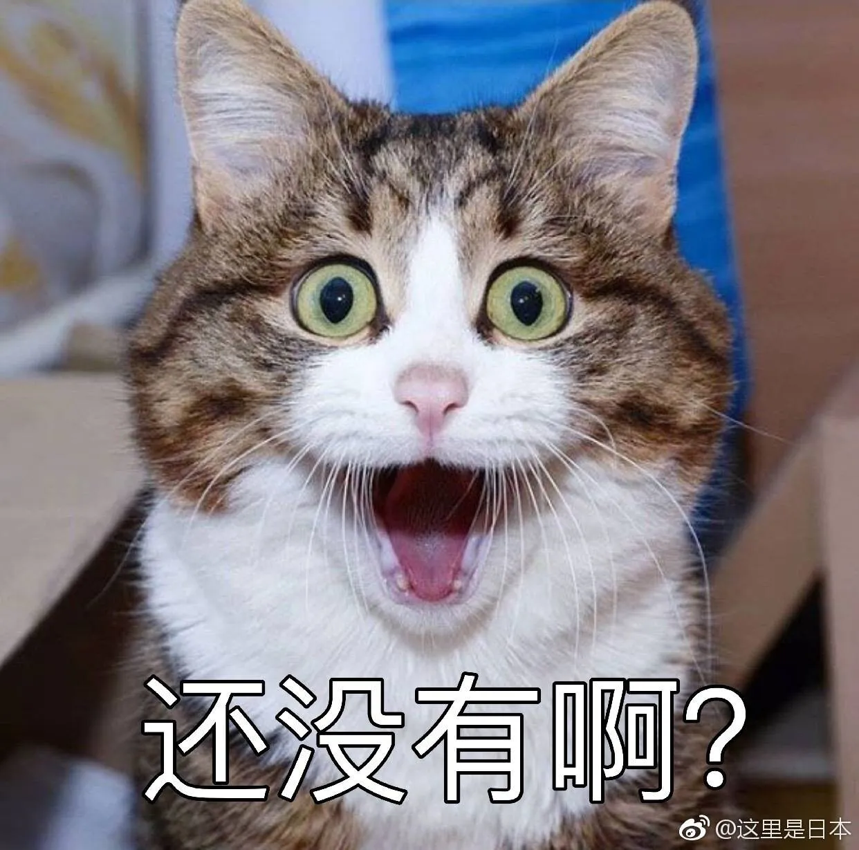 9282d9749c5af13a2b84e5709481e3cc.webp