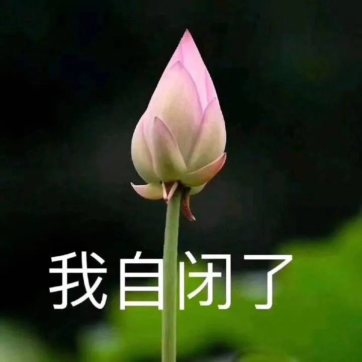 a8067d4a4edabd582326f8ab43afb02b.webp