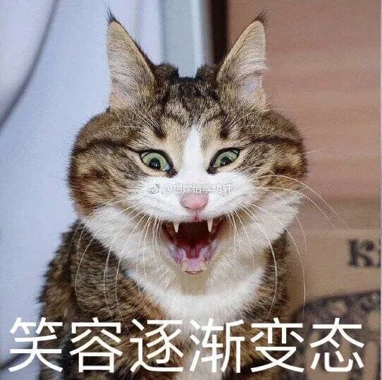 af9c6d3e83648a94d684976952fa7140.webp