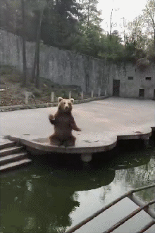 c88bb81920ca7770014f493bfb200f0f.gif
