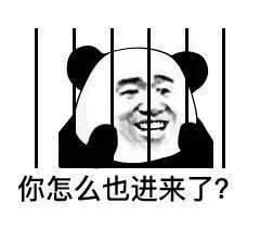 c992513c583c64d851e3a53ea7a5a875.webp