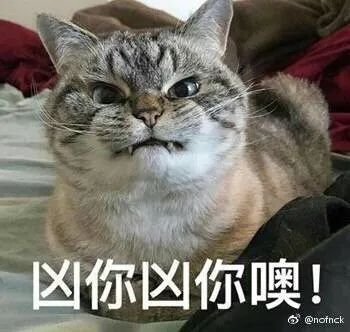 e8e8cfa84980bbf03070ce85815a66a2.webp