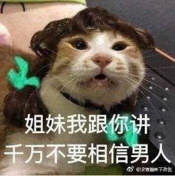 IMG_20181224_101152.webp