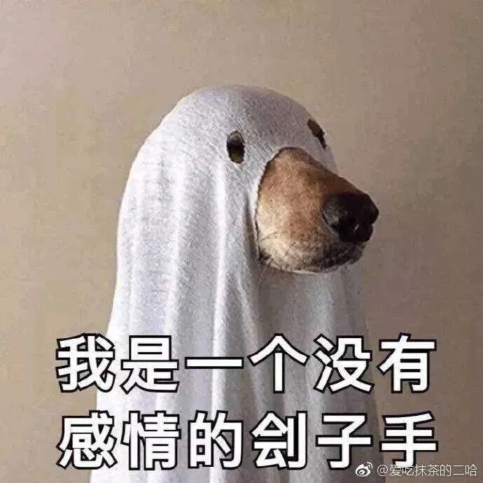 IMG_20181218_133800.webp
