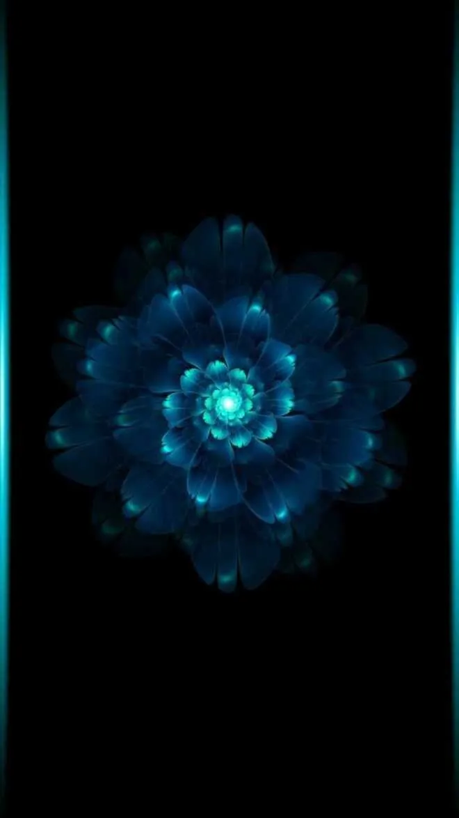 1589362274938.webp