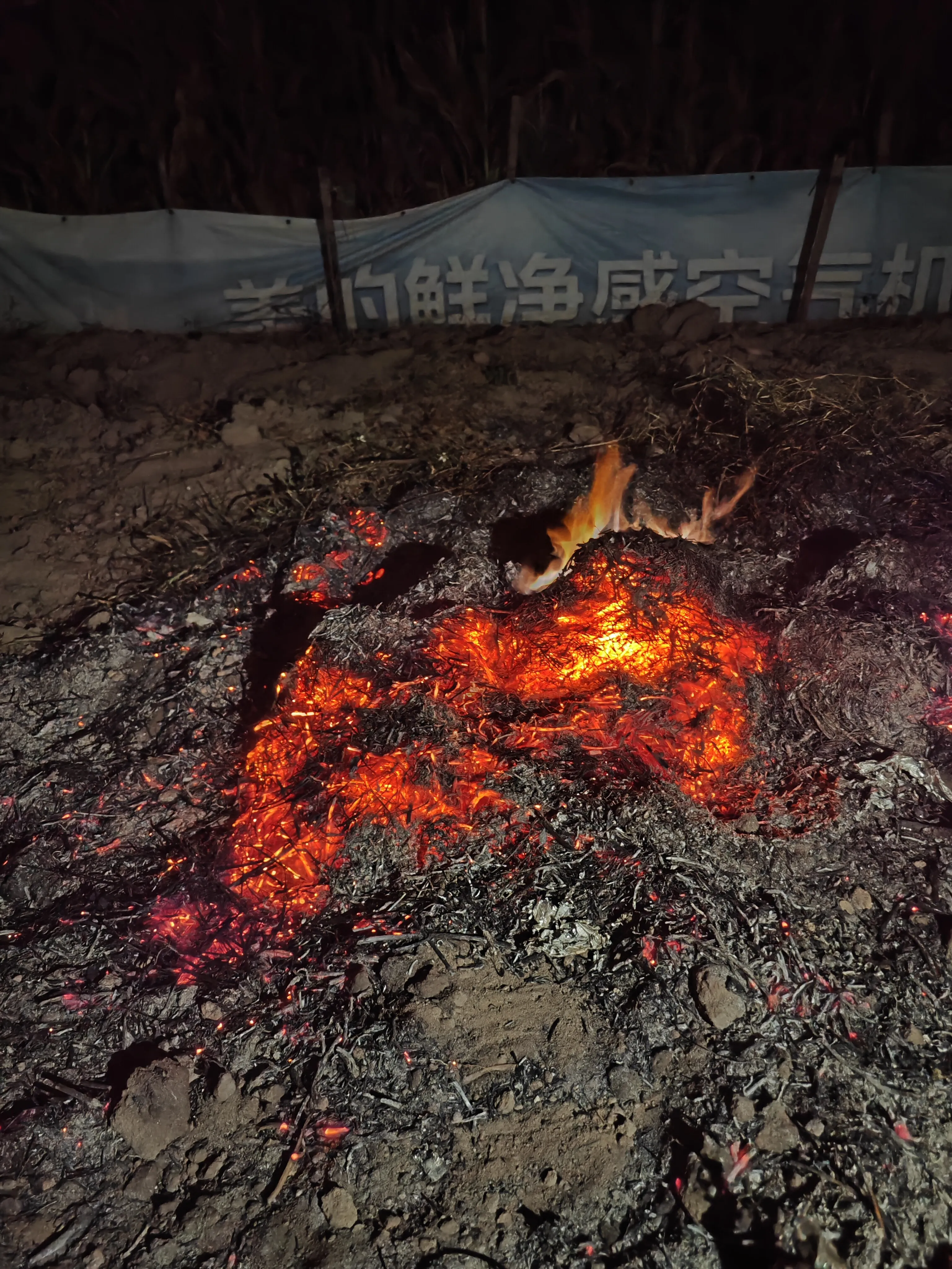 IMG_20250206_193049.webp