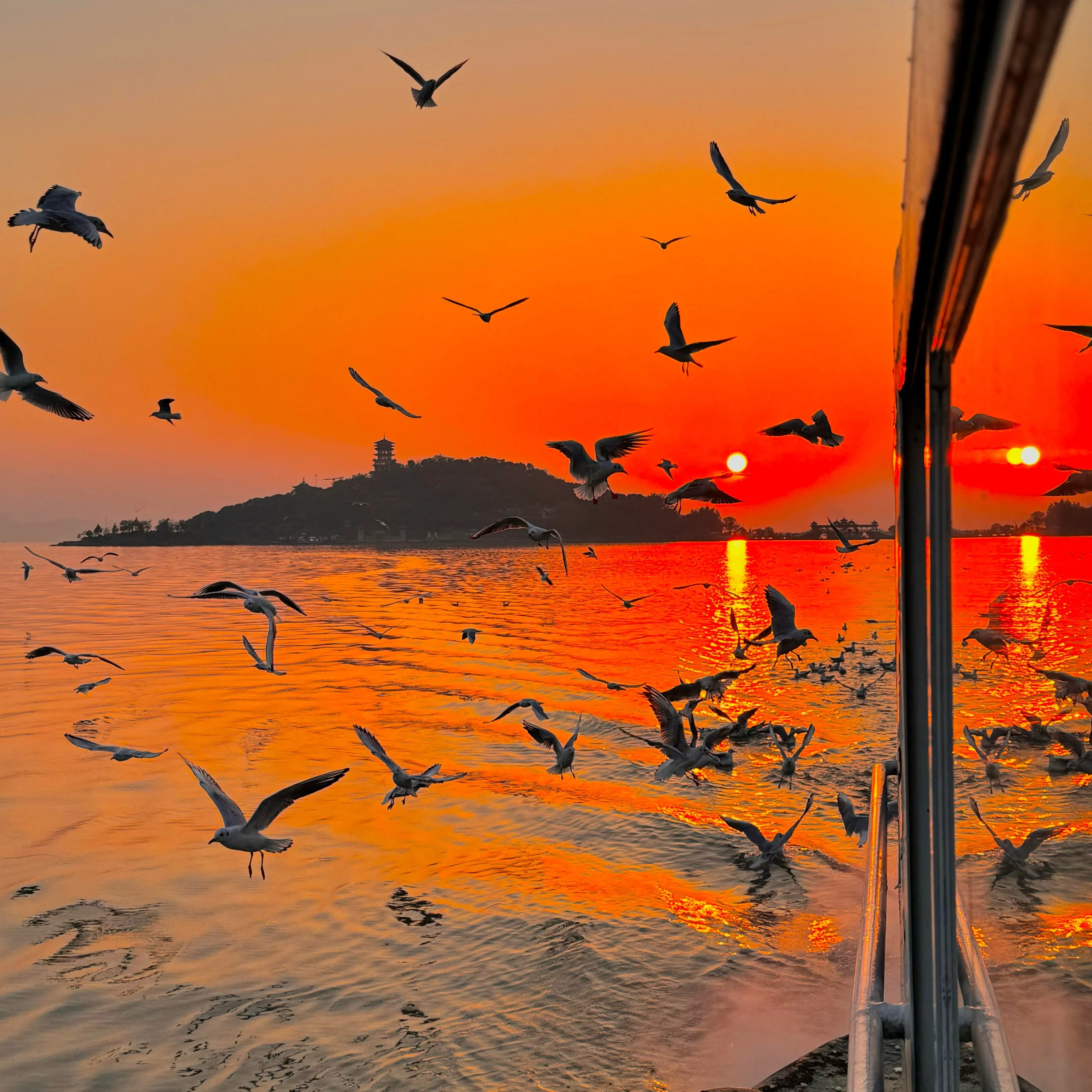 IMG_20250220_130308_173_13.webp