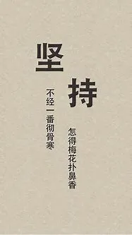 10040.webp