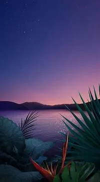 10050.webp