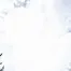 10106.webp