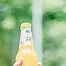10120.webp