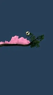 10363.webp