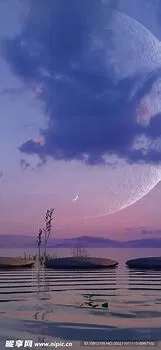 10364.webp