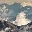 10370.webp