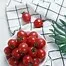 10382.webp