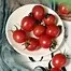 10383.webp
