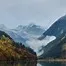 10398.webp