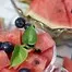 10422.webp