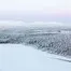 10467.webp