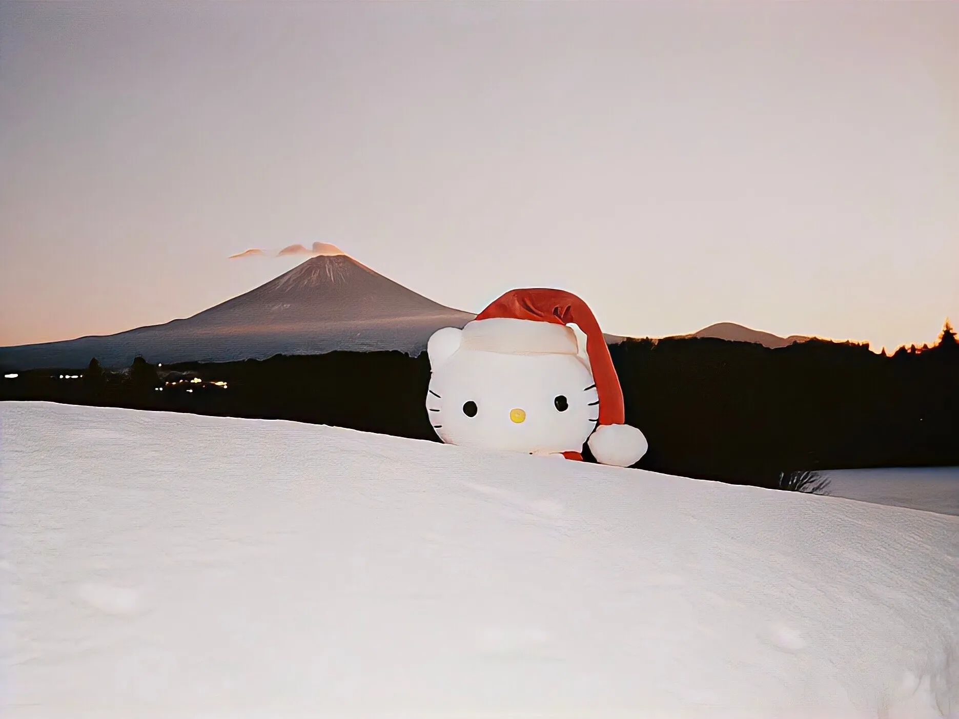 IMG_20250221_211114_851_9.webp