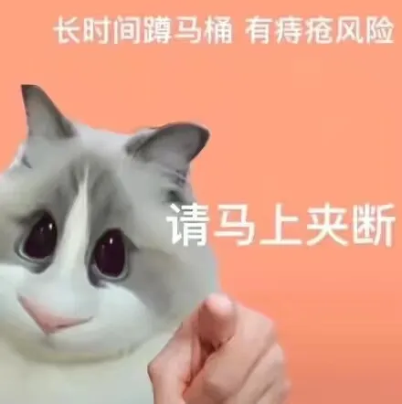 006APoFYly8hdspgww0bfj30il0indgi.webp