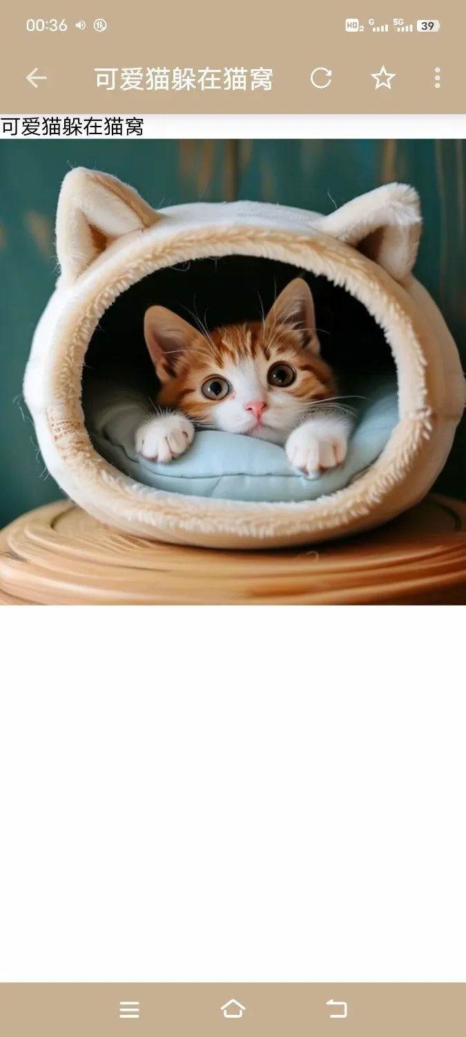 Screenshot_20250225_003620.webp