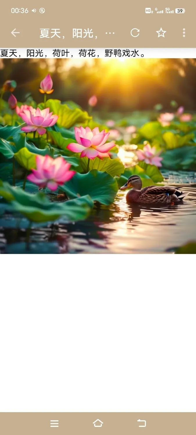 Screenshot_20250225_003637.webp