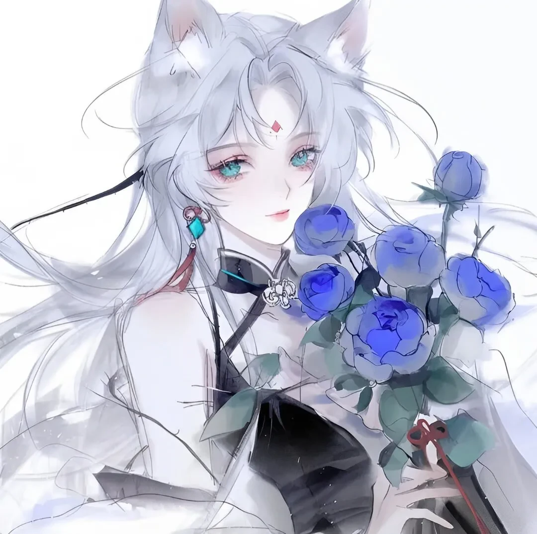 640 (17).webp