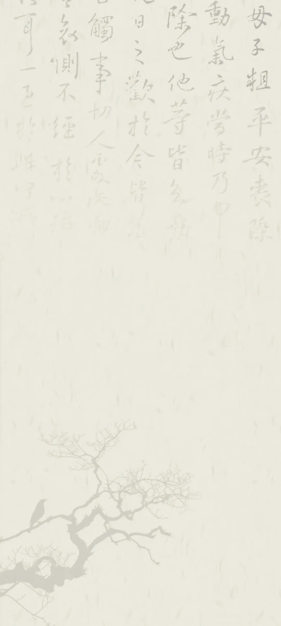 Screenshot_20250226_090106.webp