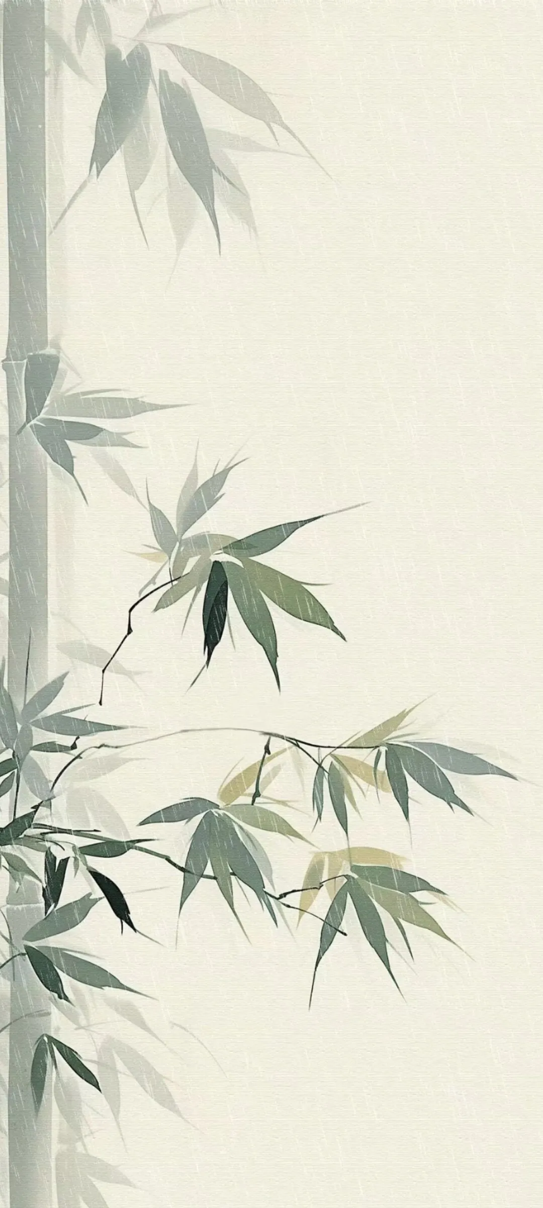 Screenshot_20250226_090200.webp